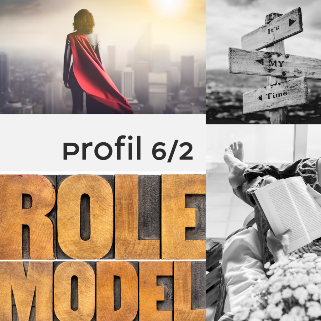 human design profil 6-2
